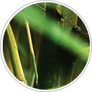 materias-prima-colchoes-biflex